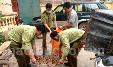 Chủ động ngăn gia cầm nhập lậu