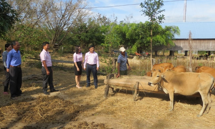 Xuất hiện ổ dịch viêm gan siêu vi A tại Đác Lắc