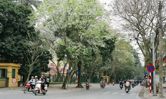 Bắc bộ nắng ráo, Bắc Trung bộ khả năng có tố, lốc, mưa đá và gió giật