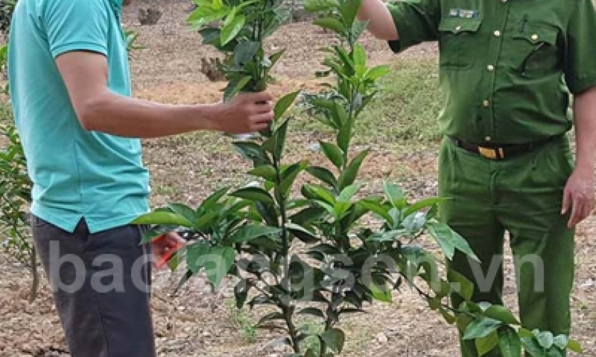 Thành công trên nẻo đường hoàn lương