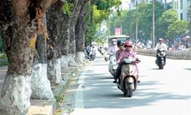 Đông Bắc bộ, Tây Nguyên và Nam bộ đề phòng thời tiết nguy hiểm vào chiều tối và đêm