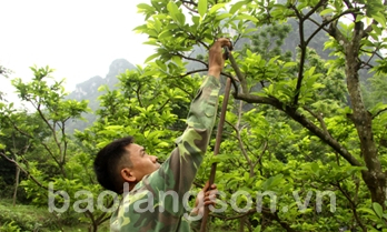 Nâng cao giá trị sản phẩm