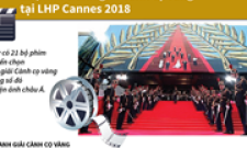 [Infographics] 21 phim tranh giải Cành cọ vàng tại LHP Cannes 2018