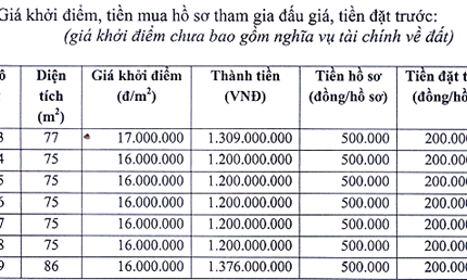 Thông báo đấu giá quyền sử dụng đất