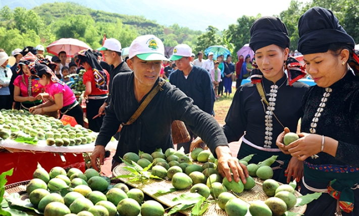 Xây dựng, quảng bá thương hiệu nông sản vùng Tây Bắc