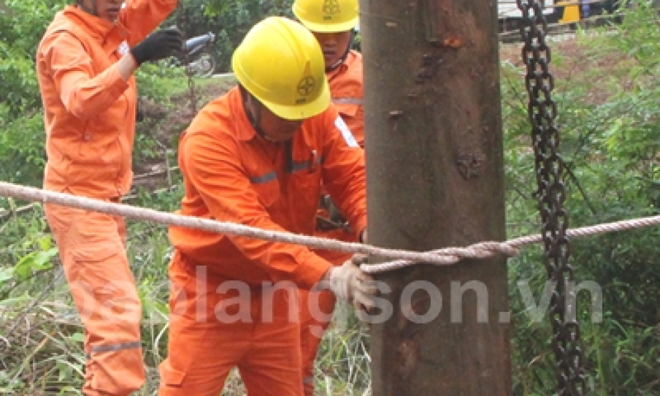 Chủ động ứng phó thiên tai