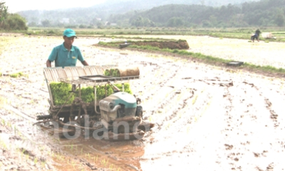 Tăng giá trị sản xuất nông nghiệp