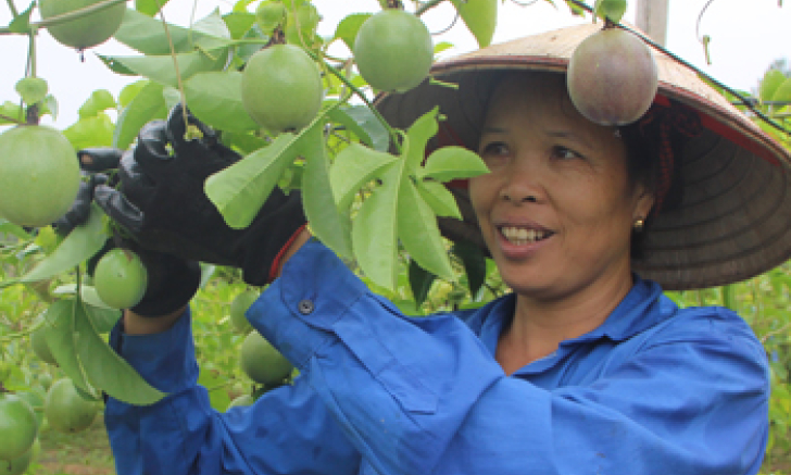 Tái cơ cấu ngành nông nghiệp gắn với xây dựng nông thôn mới: Bước chuyển ở Lộc Bình