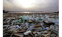 WWF cảnh báo tình trạng ô nhiễm rác thải nhựa tại Địa Trung Hải