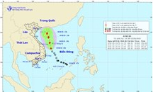 Tích cực chủ động ứng phó với áp thấp nhiệt đới