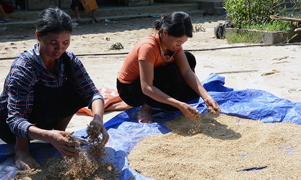 Yên Bái hỗ trợ gạo cho đồng bào bị thiên tai