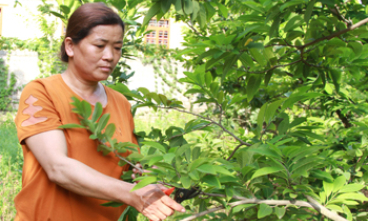 Chị Mến làm kinh tế giỏi