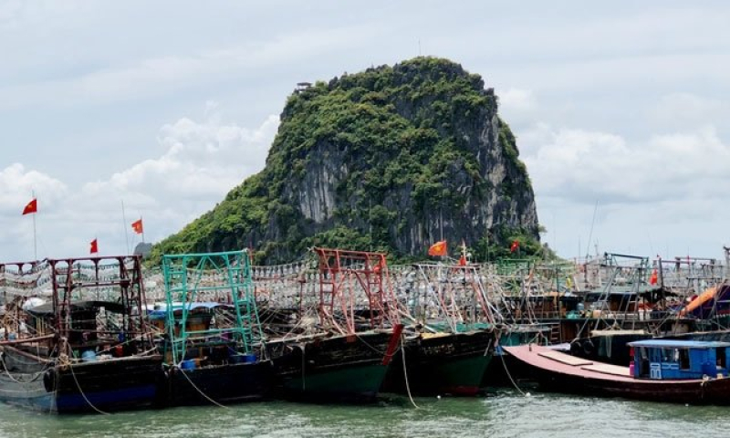 Quảng Ninh tạm ngừng cấp phép tàu du lịch tham quan vịnh Hạ Long