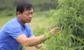 Nhiều cách làm giúp thanh niên khởi nghiệp