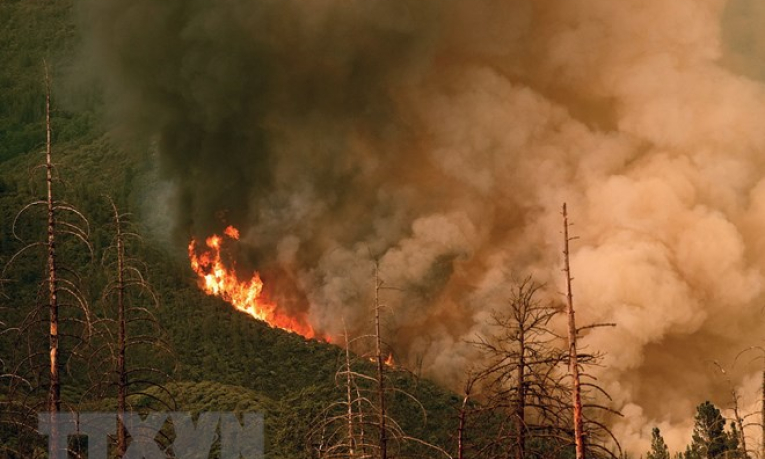 Mỹ: Bang California ban bố tình trạng khẩn cấp do cháy rừng lan rộng