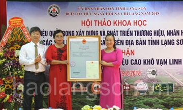 Hội thảo về hiệu quả trong phát triển thương hiệu cho sản phẩm nông sản Lạng Sơn