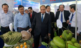 Thủ tướng dự Hội nghị xúc tiến đầu tư Tiền Giang