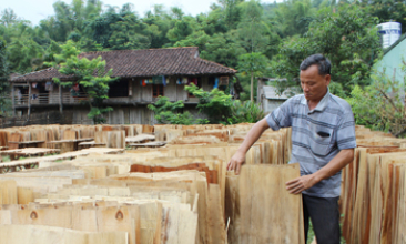 Hợp tác xã nông nghiệp: Liên kết để phát triển