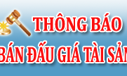 THÔNG BÁO ĐẤU GIÁ TÀI SẢN