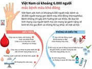 [Infographics] Việt Nam có khoảng 6.000 người mắc bệnh máu khó đông