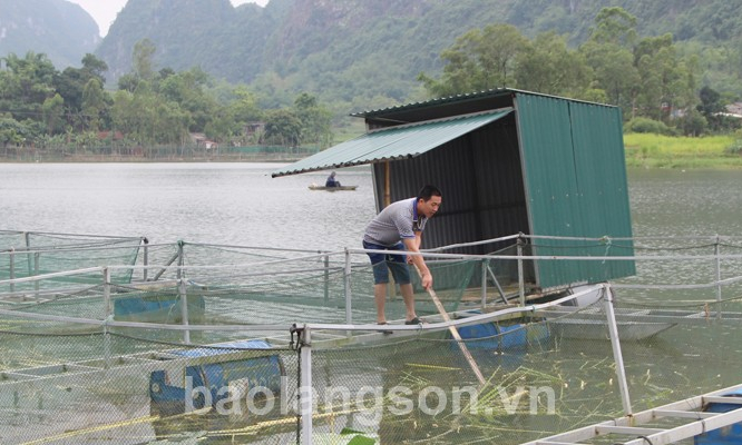 Chú trọng phát triển nuôi trồng thủy sản