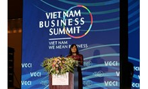 Doanh nghiệp Việt Nam cần tập trung nâng cao năng lực