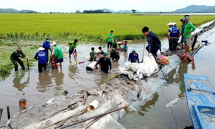 Chủ động ứng phó lũ lớn ở đồng bằng sông Cửu Long và mưa lũ tại Bắc Bộ