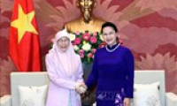 Chủ tịch Quốc hội Nguyễn Thị Kim Ngân tiếp Phó Thủ tướng Malaysia