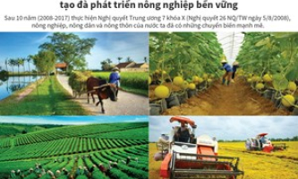 Nghị quyết "tam nông" tạo đà phát triển nông nghiệp bền vững