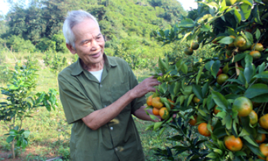 Người thương binh năng động