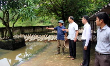 Hội Cựu chiến binh Đình Lập: Sáng mãi phẩm chất bộ đội Cụ Hồ