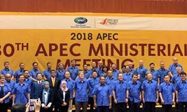 Diễn đàn APEC: Việt Nam nhấn mạnh tầm quan trọng của cải cách cơ cấu