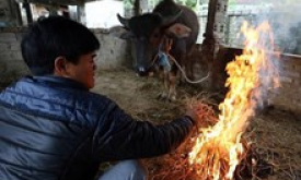 Rét đậm, rét hại tại Bắc Bộ có khả năng kéo dài đến cuối tuần