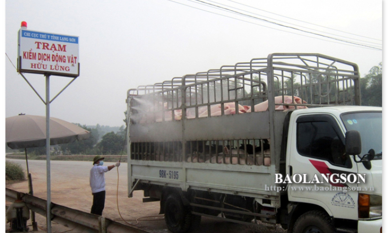 Trạm Kiểm dịch Động vật Hữu Lũng: Tăng cường kiểm soát động vật qua lưu thông