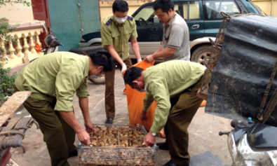 Lộc Bình: Chặn gia cầm nhập lậu