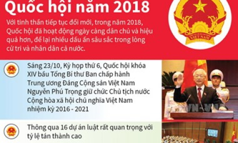 Điểm lại những hoạt động nổi bật của Quốc hội năm 2018