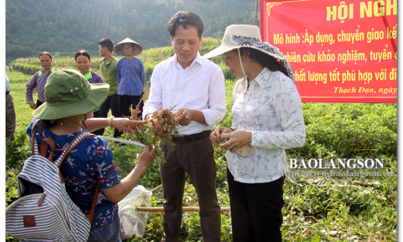 Chủ động ứng dụng khoa học và công nghệ vào sản xuất