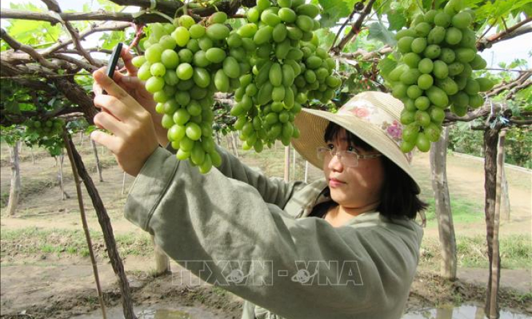 Ninh Thuận đặt mục tiêu đón hơn 2 triệu lượt khách du lịch