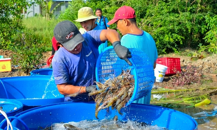 Hai nút thắt cần gỡ để xuất khẩu thủy sản bứt phá