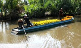 Mùng 5 Tết, Bắc Bộ có nơi rét về đêm, Đông Nam Bộ nắng nóng