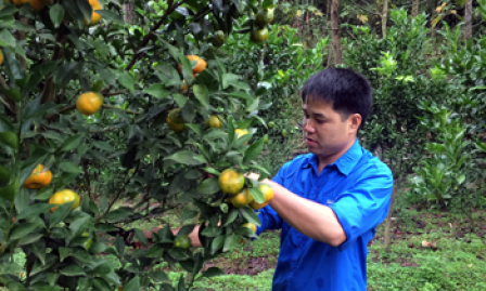 Thủ lĩnh đoàn làm kinh tế giỏi