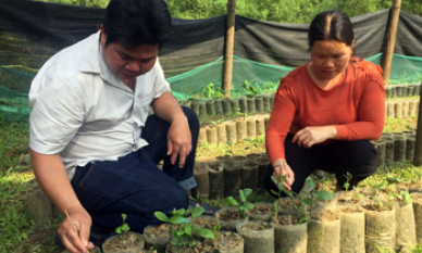 Hội Cựu chiến binh huyện Văn Lãng phát huy truyền thống “Bộ đội Cụ Hồ”