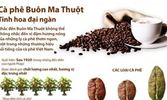 Càphê Buôn Ma Thuột - Tinh hoa đại ngàn