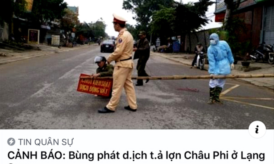 Lạng Sơn: Chưa phát hiện có ổ bệnh dịch tả lợn châu Phi