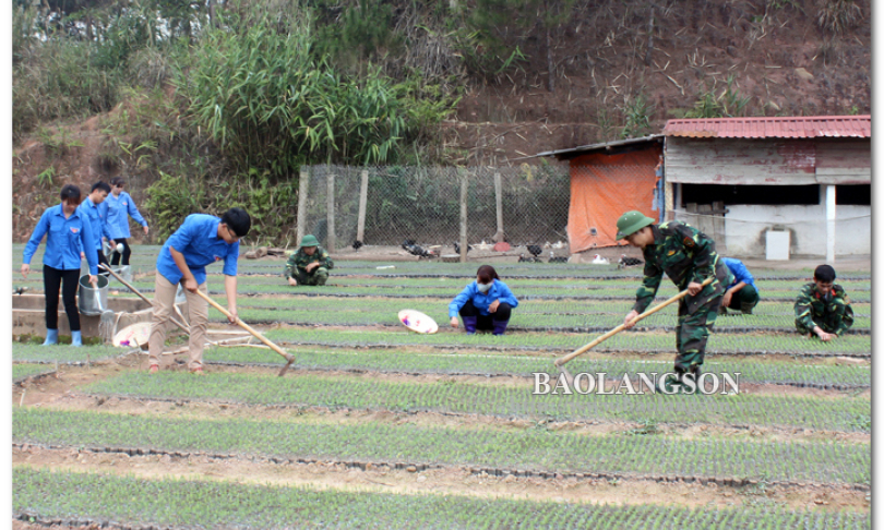 Đảng bộ Nông Lâm trường 461: Chú trọng công tác kiểm tra, giám sát