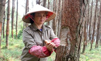 Bí thư Chi bộ năng động