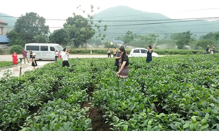 Khách du lịch đến Thái Nguyên tăng mạnh dịp Lễ Giỗ Tổ Hùng Vương