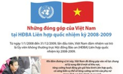 [Infographics] Những đóng góp của Việt Nam tại HĐBA Liên hợp quốc