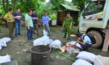 Thái Nguyên bắt giữ số lượng lớn xương và động vật quý hiếm