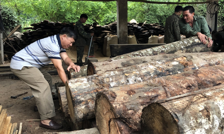 Cựu chiến binh làm kinh tế giỏi